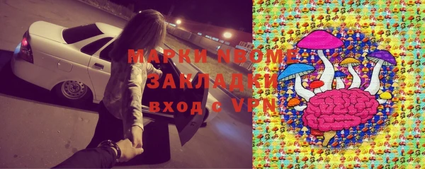 ешки Алексин